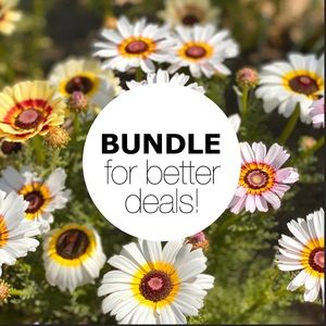 Bundle for better deals! 🌈